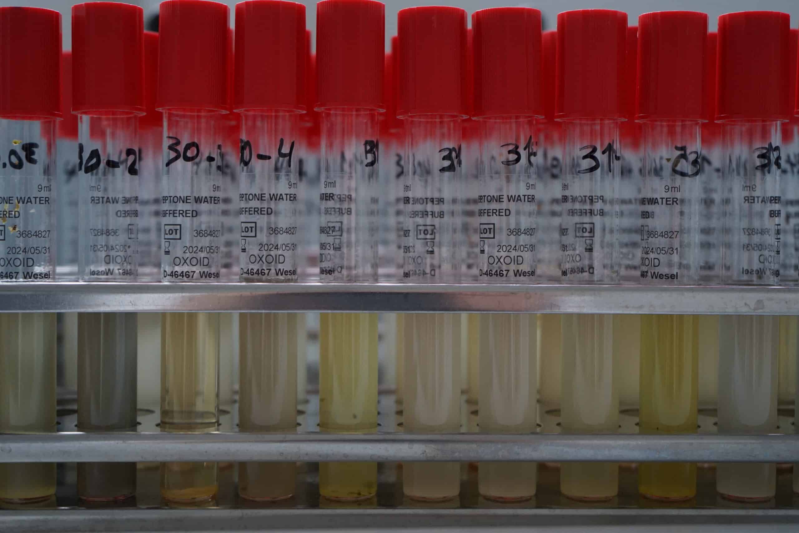 Probenahmeplaene erstellen - Systematische Lebensmittelkontrolle